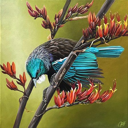 Craig Platt nz bird art, tui in flax, oil on canvas
